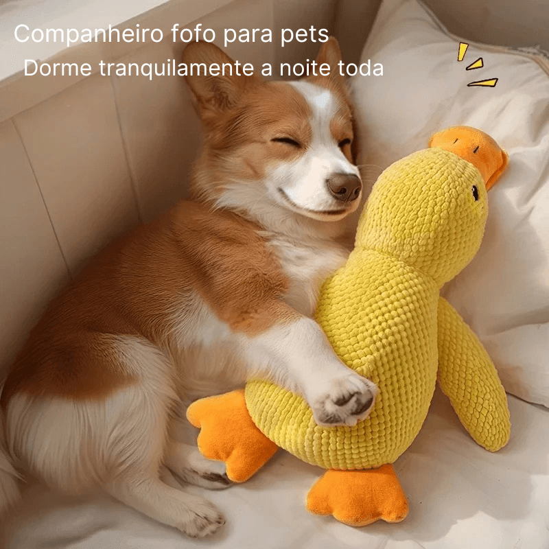 PATINHO SQUEAK