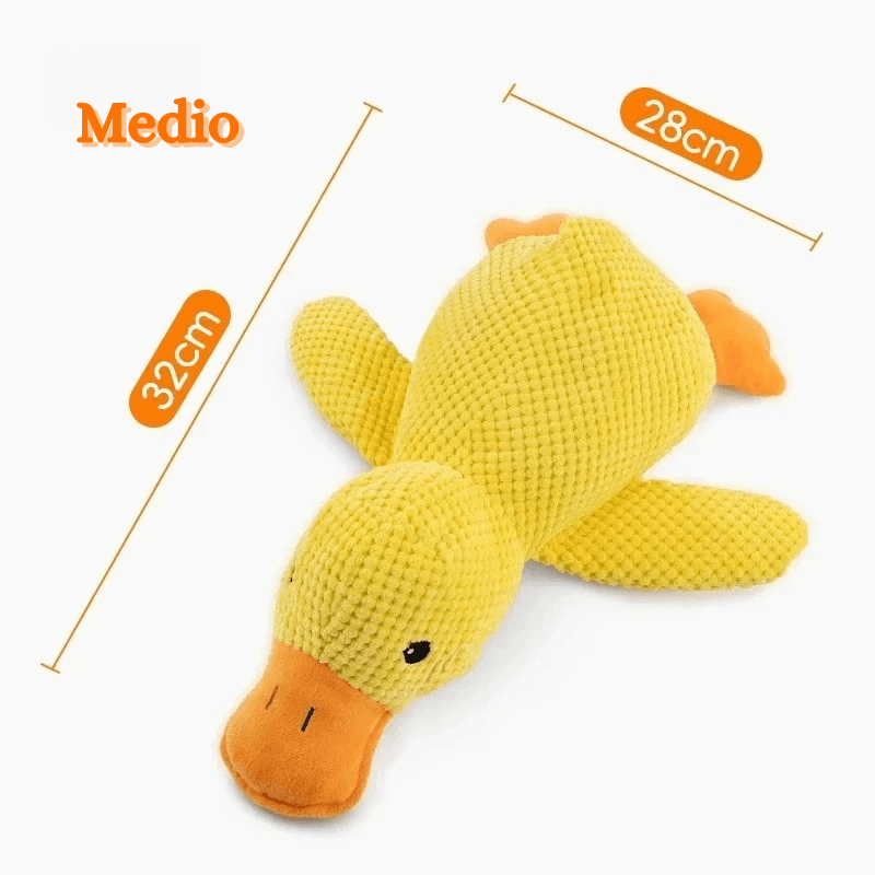 PATINHO SQUEAK