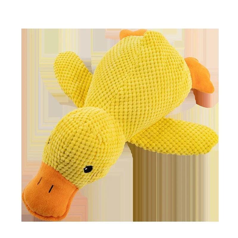 PATINHO SQUEAK