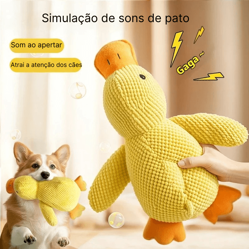 PATINHO SQUEAK