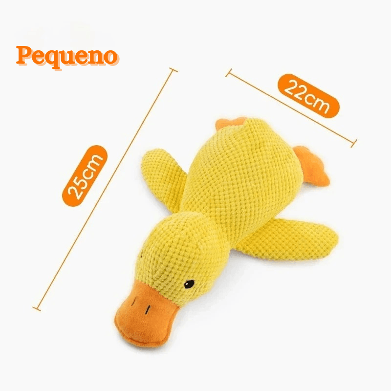 PATINHO SQUEAK